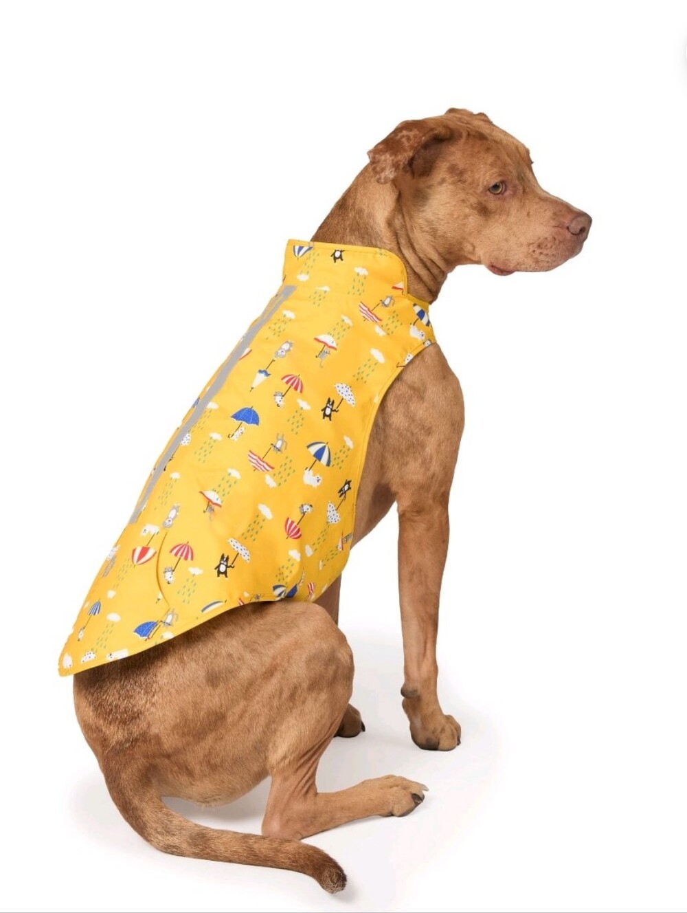 Free Country Yellow Umbrella Print Waterproof Dog Raincoat